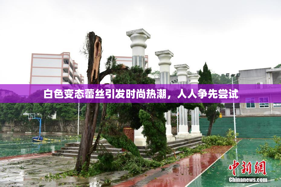 白色变态蕾丝引发时尚热潮，人人争先尝试
