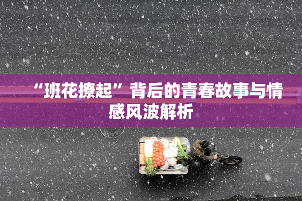 “班花撩起”背后的青春故事与情感风波解析