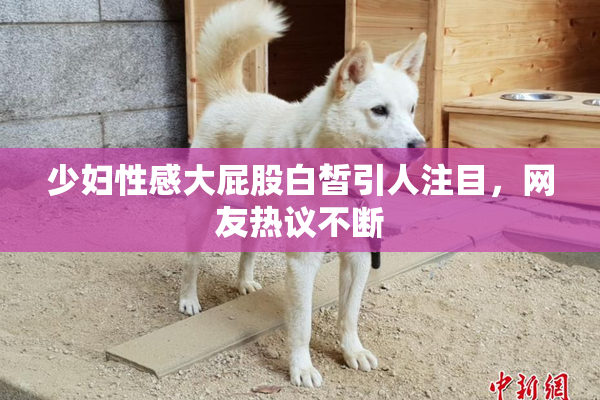 少妇性感大屁股白皙引人注目，网友热议不断