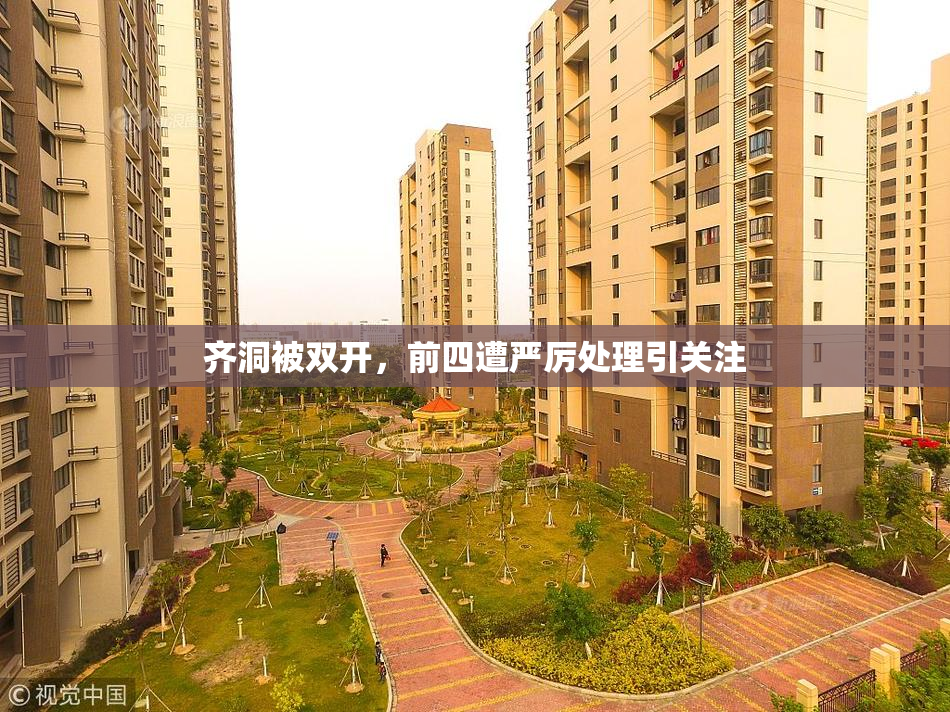 齐洞被双开，前四遭严厉处理引关注