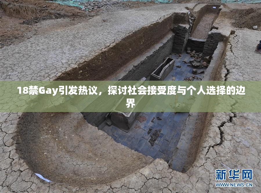 18禁Gay引发热议，探讨社会接受度与个人选择的边界