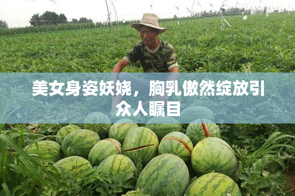 美女身姿妖娆，胸乳傲然绽放引众人瞩目