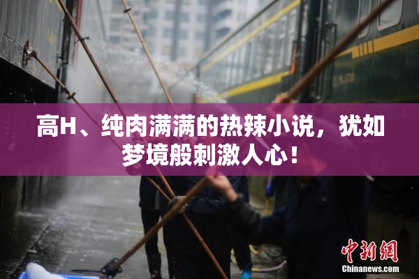 高H、纯肉满满的热辣小说，犹如梦境般刺激人心！