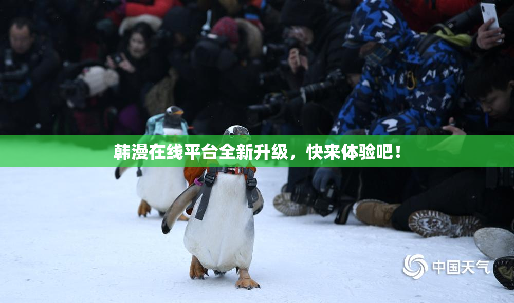 韩漫在线平台全新升级，快来体验吧！
