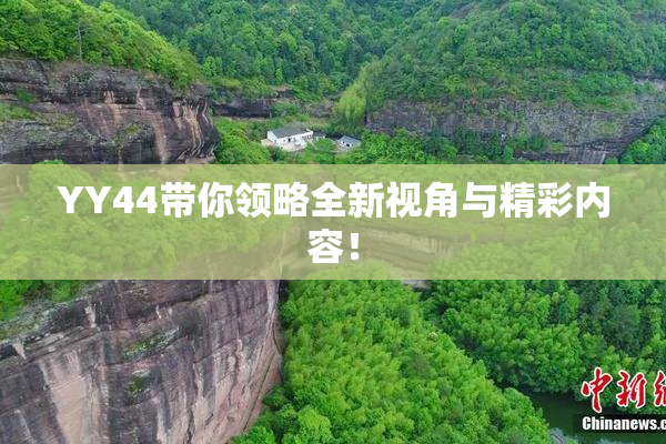 YY44带你领略全新视角与精彩内容！