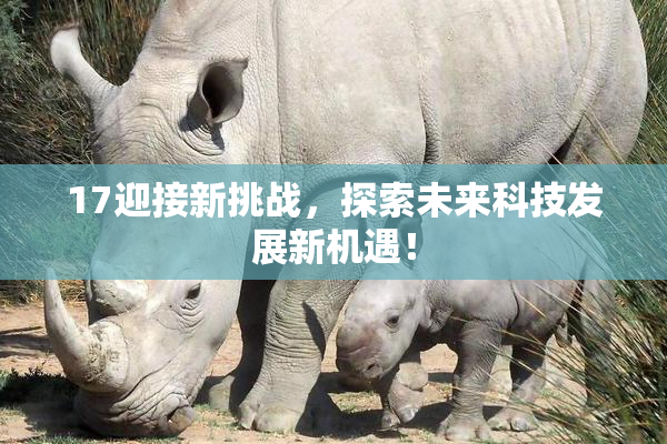 17迎接新挑战，探索未来科技发展新机遇！
