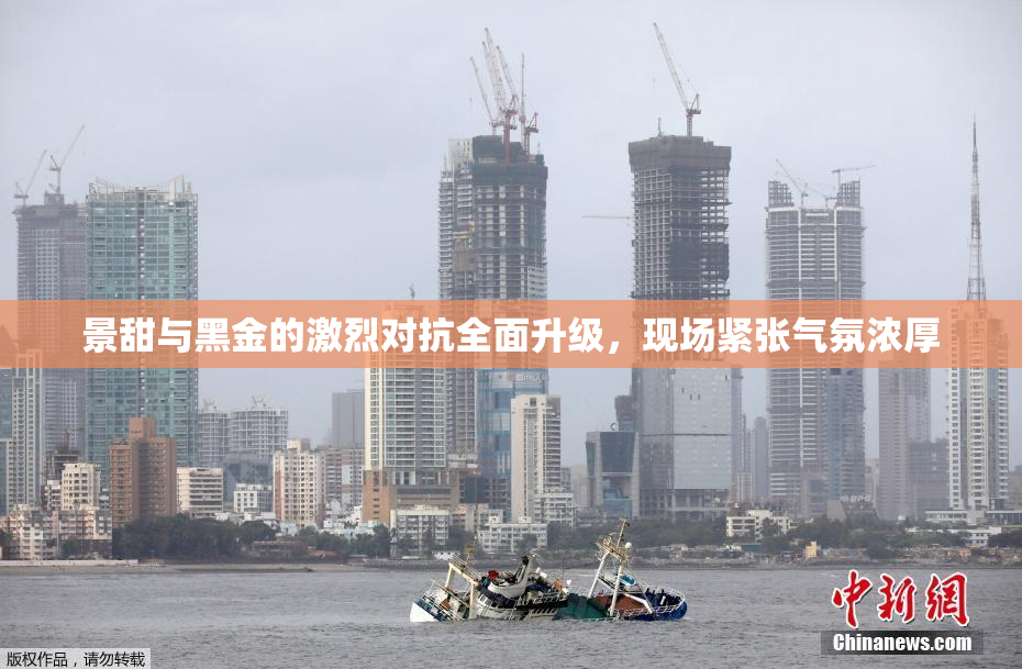 景甜与黑金的激烈对抗全面升级，现场紧张气氛浓厚