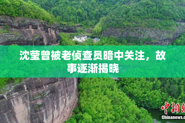 沈莹曾被老侦查员暗中关注，故事逐渐揭晓