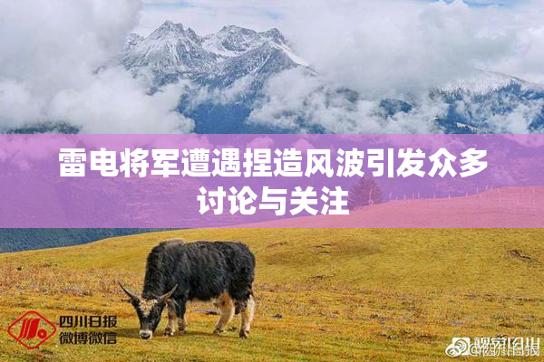 雷电将军遭遇捏造风波引发众多讨论与关注