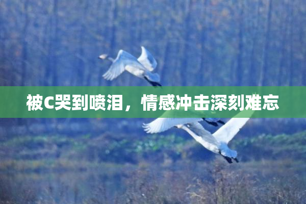 被C哭到喷泪，情感冲击深刻难忘