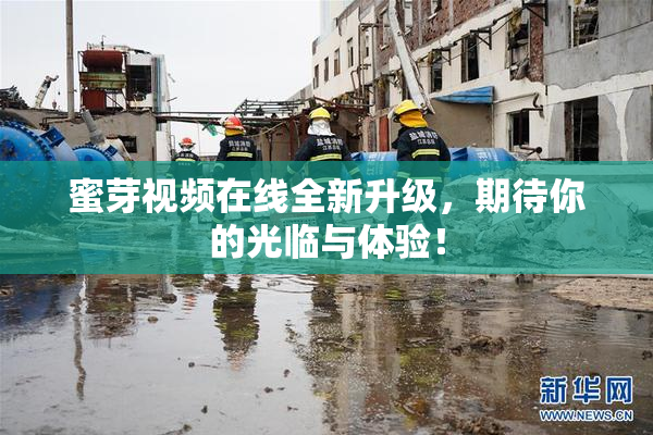 蜜芽视频在线全新升级，期待你的光临与体验！