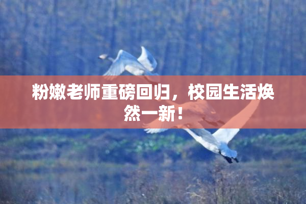 粉嫩老师重磅回归，校园生活焕然一新！