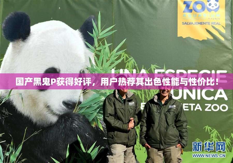 国产黑鬼P获得好评，用户热荐其出色性能与性价比！