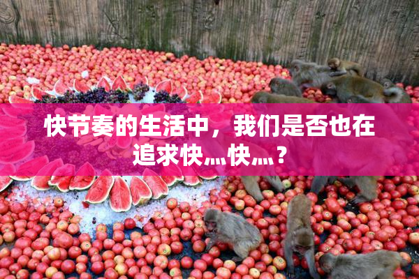 快节奏的生活中，我们是否也在追求快灬快灬？