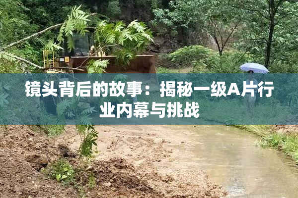 镜头背后的故事：揭秘一级A片行业内幕与挑战