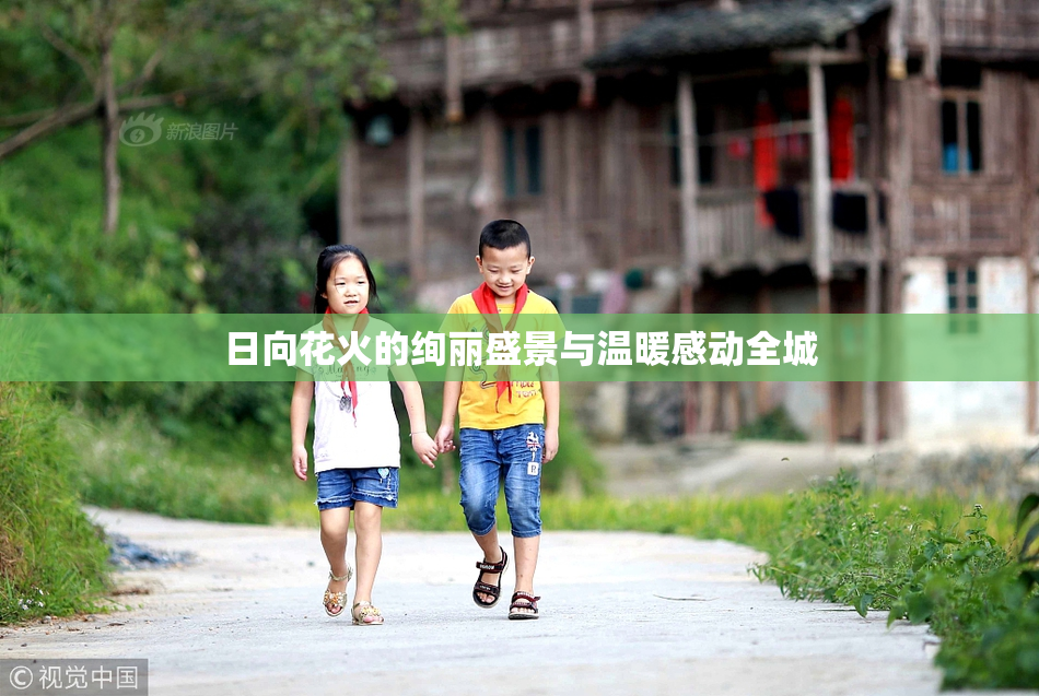 日向花火的绚丽盛景与温暖感动全城