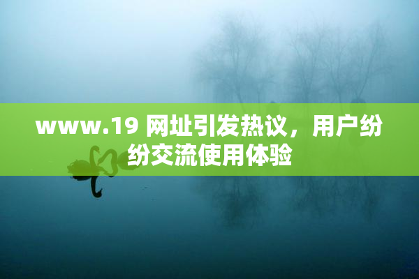 www.19 网址引发热议，用户纷纷交流使用体验