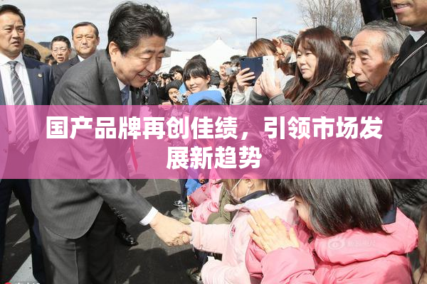 国产品牌再创佳绩，引领市场发展新趋势