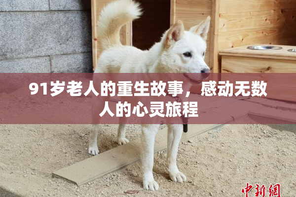 91岁老人的重生故事，感动无数人的心灵旅程