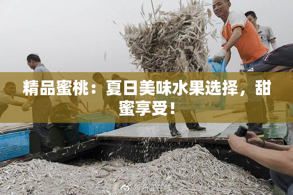 精品蜜桃：夏日美味水果选择，甜蜜享受！