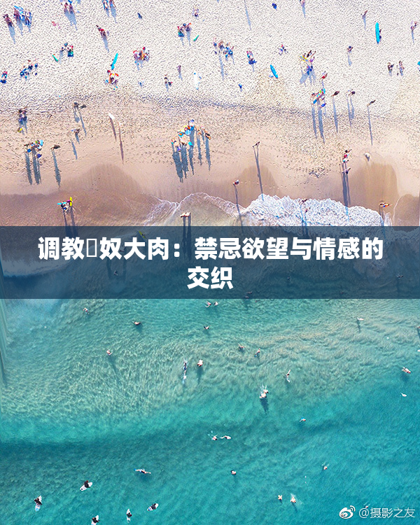 调教婬奴大肉：禁忌欲望与情感的交织