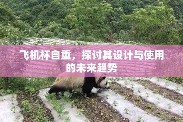 飞机杯自重，探讨其设计与使用的未来趋势