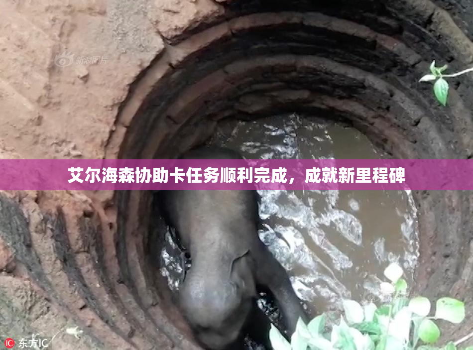 艾尔海森协助卡任务顺利完成，成就新里程碑