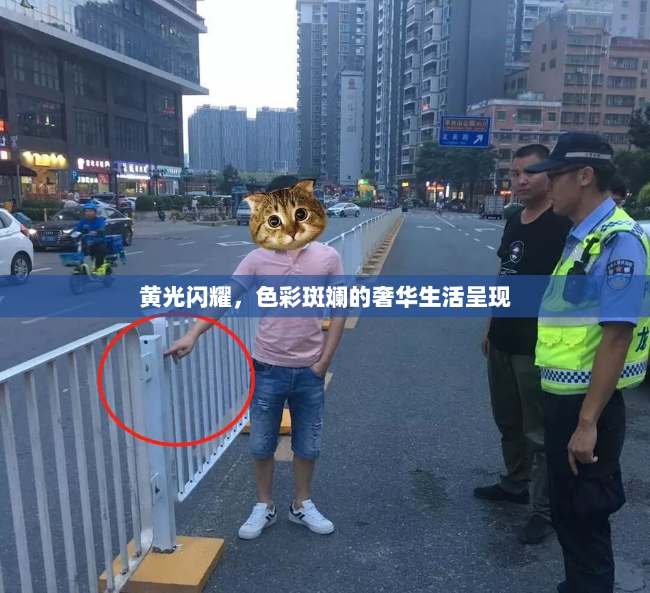 黄光闪耀，色彩斑斓的奢华生活呈现