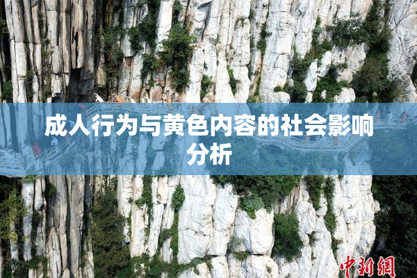 成人行为与黄色内容的社会影响分析