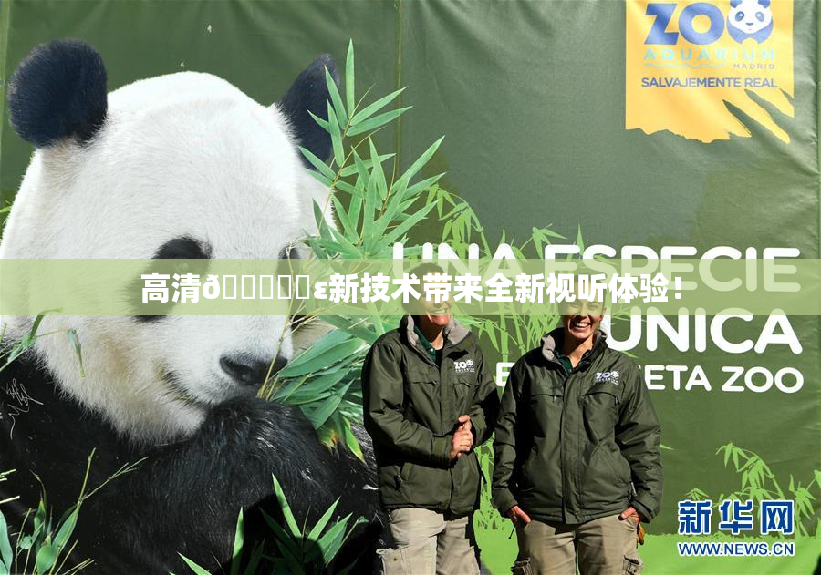 高清🔞❌‌ε新技术带来全新视听体验！