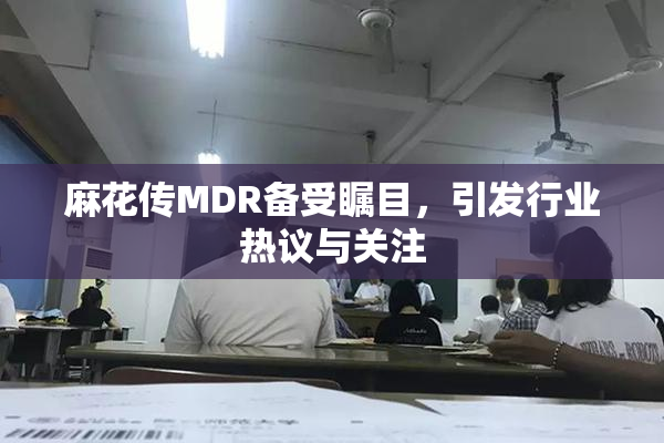 麻花传MDR备受瞩目，引发行业热议与关注