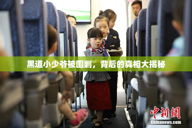 黑道小少爷被围剿，背后的真相大揭秘