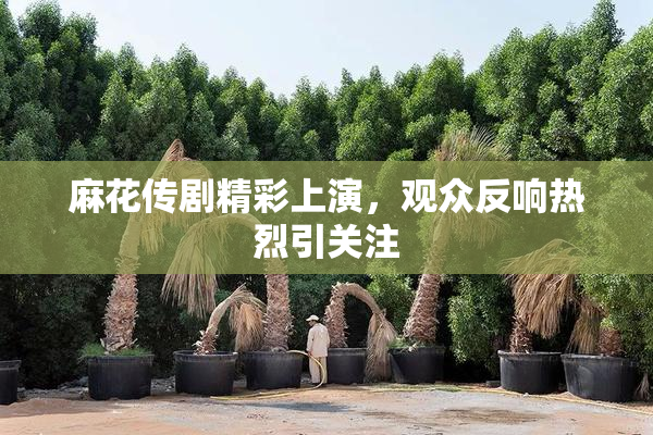 麻花传剧精彩上演，观众反响热烈引关注