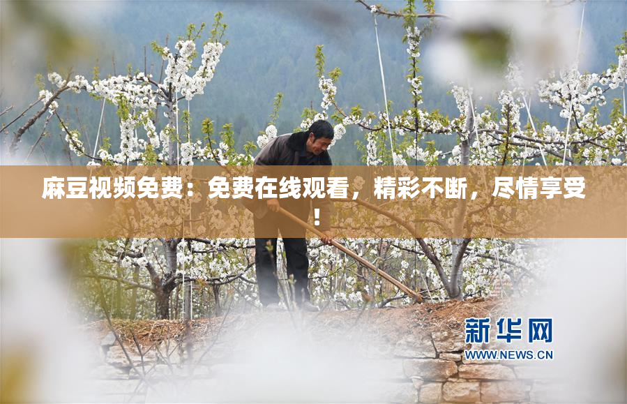 麻豆视频免费：免费在线观看，精彩不断，尽情享受！