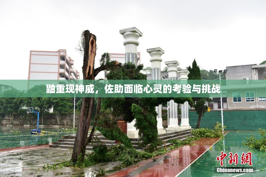 鼬重现神威，佐助面临心灵的考验与挑战
