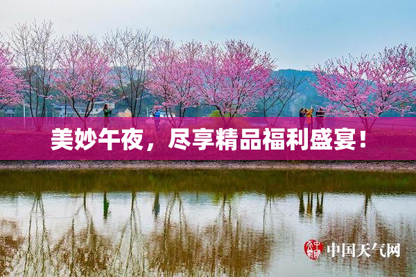 美妙午夜，尽享精品福利盛宴！