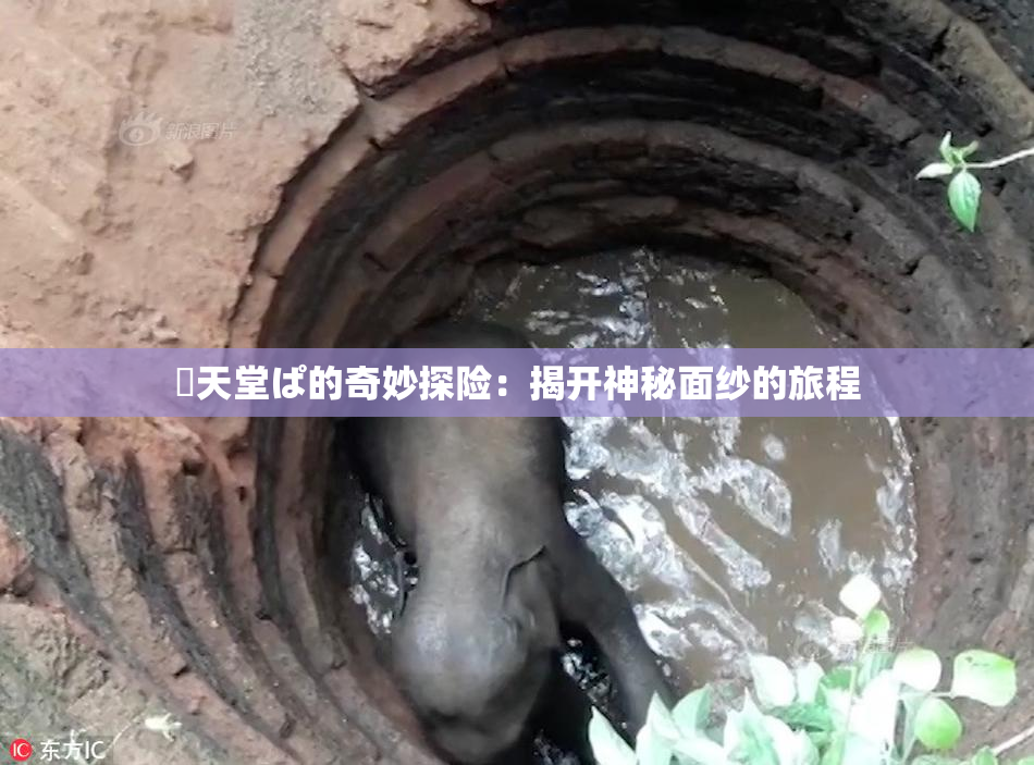 妺天堂ぱ的奇妙探险：揭开神秘面纱的旅程