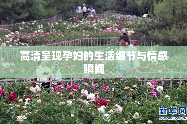 高清呈现孕妇的生活细节与情感瞬间