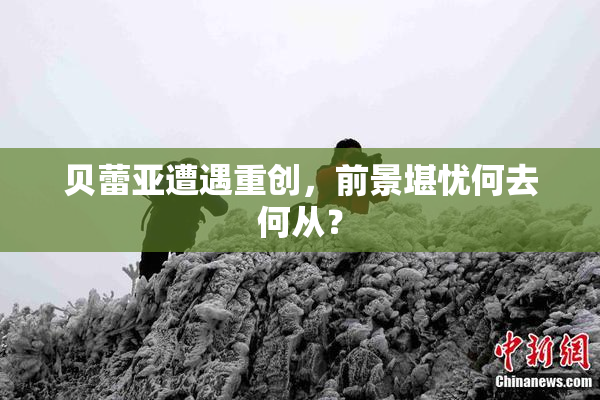 贝蕾亚遭遇重创，前景堪忧何去何从？