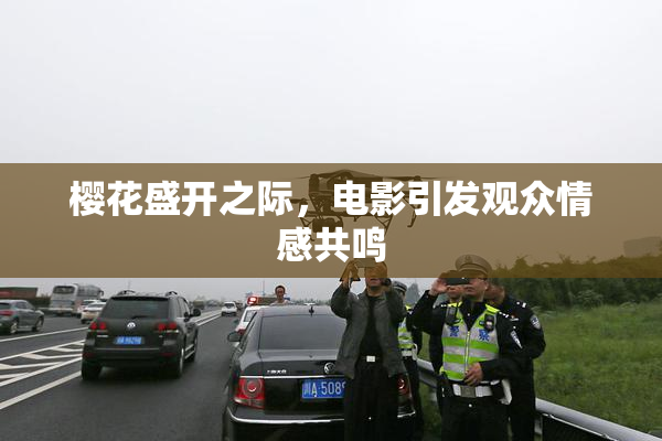 樱花盛开之际，电影引发观众情感共鸣