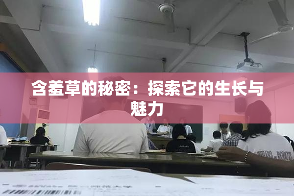 含羞草的秘密：探索它的生长与魅力