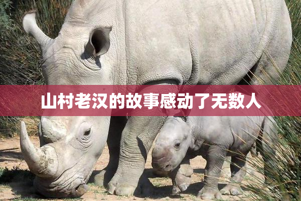 山村老汉的故事感动了无数人