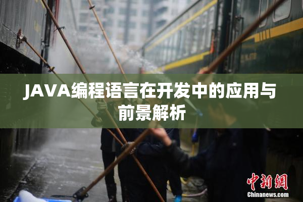 JAVA编程语言在开发中的应用与前景解析