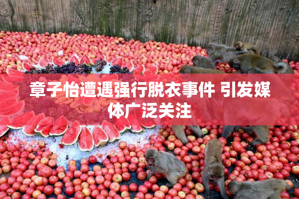 章子怡遭遇强行脱衣事件 引发媒体广泛关注