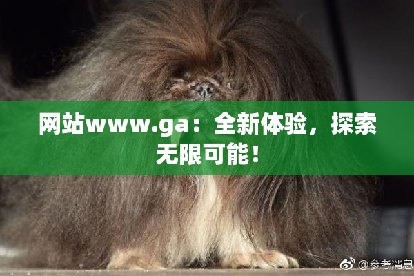 网站www.ga：全新体验，探索无限可能！