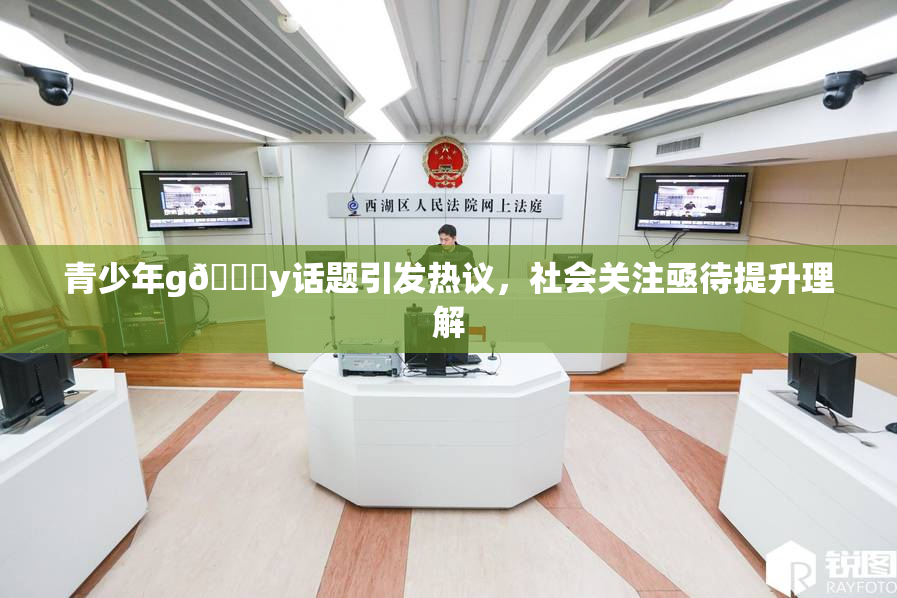 青少年g🈚y话题引发热议，社会关注亟待提升理解