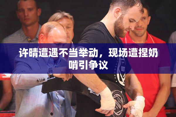 许晴遭遇不当举动，现场遭捏奶啃引争议