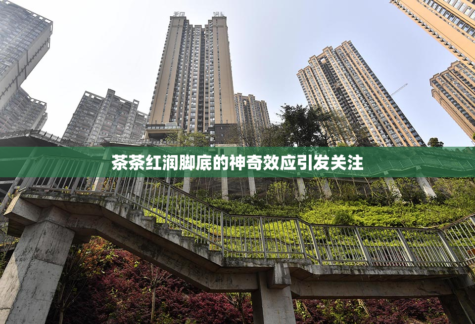 茶茶红润脚底的神奇效应引发关注