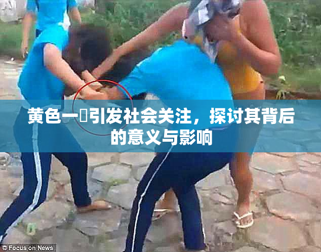 黄色一級引发社会关注，探讨其背后的意义与影响