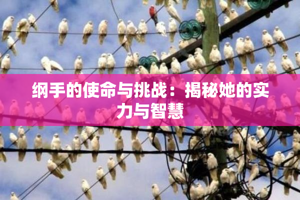 纲手的使命与挑战：揭秘她的实力与智慧